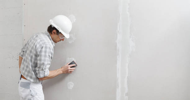 Best Forensic Mold Investigation  in New California, OH
