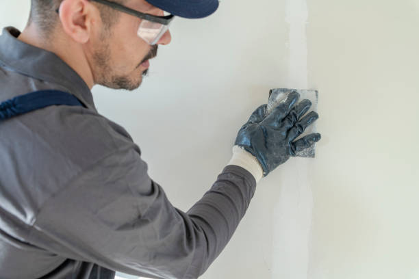 Best Real Estate Mold Inspection  in New California, OH