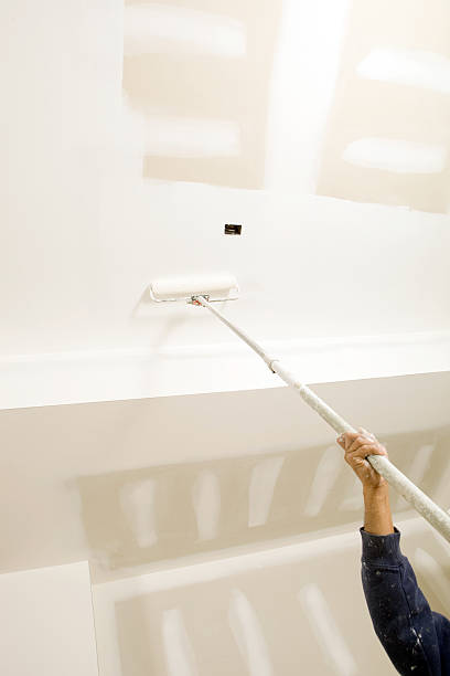 Best Residential Mold Inspection & Testing  in New California, OH