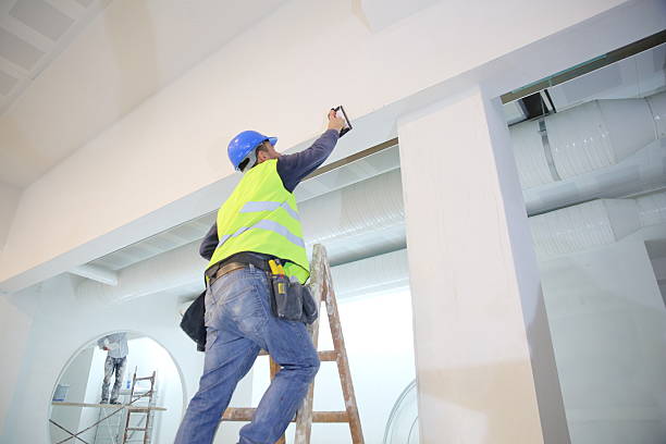 Best Airborne Mold Testing  in New California, OH